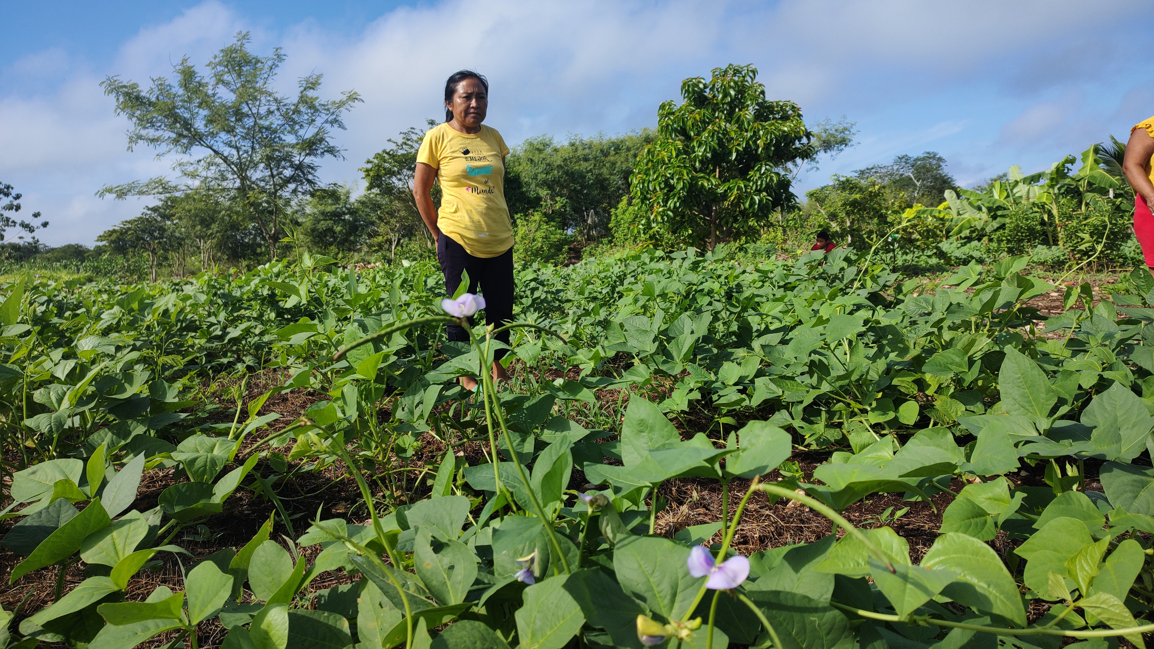 U kalantal paak’alo’ob utial ma’ u k’astalo’ob o estar preparadas ante situaciones difíciles