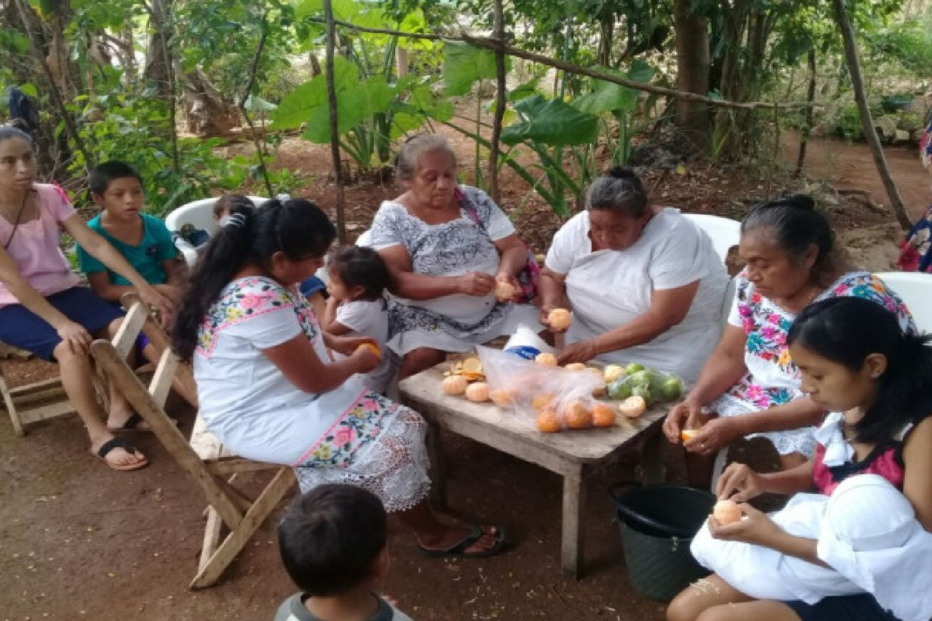 Seguridad alimentaria en familias participantes
